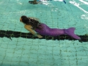 Meerjungfrauenschwimmen-157.jpg
